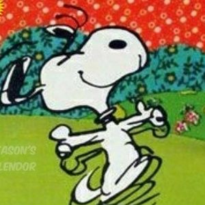 Meet your Posher, No